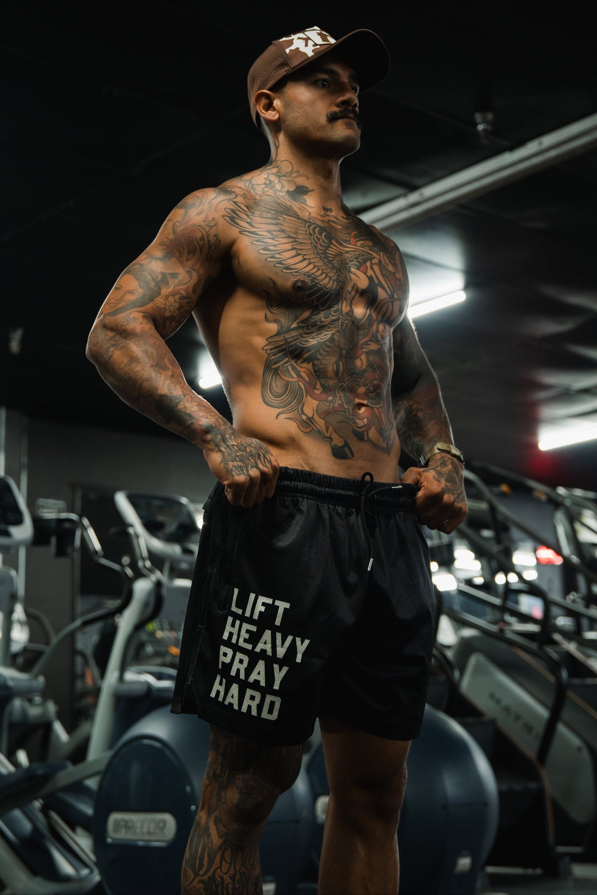 5.5-Inch Mesh Lifestyle Shorts